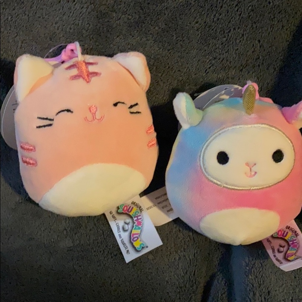 Keychain Squishmallow.